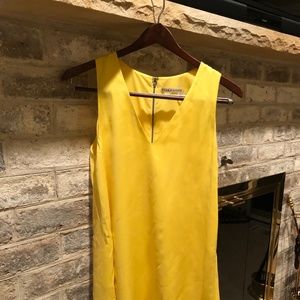 Alice and Olivia Cocktail Dress: Worn Once